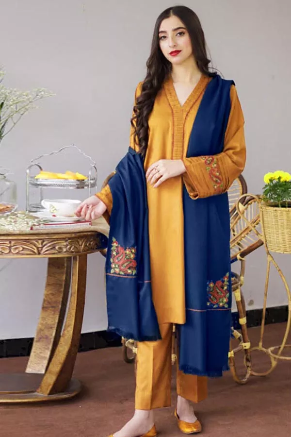 DF-1641: A Sling 3Pc Embroidered Dhanak Dress